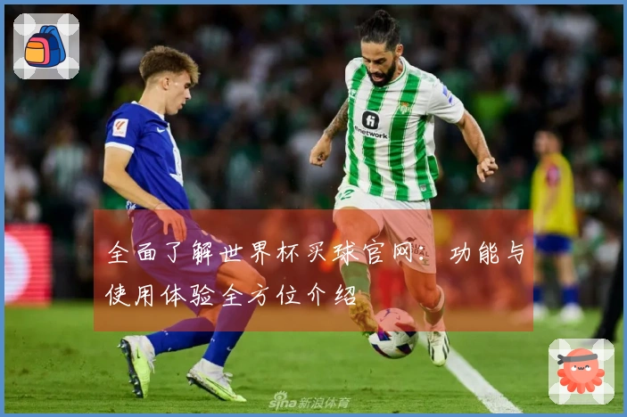 全面了解世界杯买球官网：功能与使用体验全方位介绍