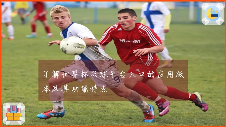 了解世界杯买球平台入口的应用版本及其功能特点