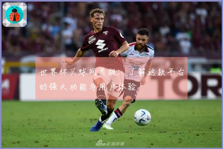 世界杯买球网页版：了解这款平台的强大功能与用户体验