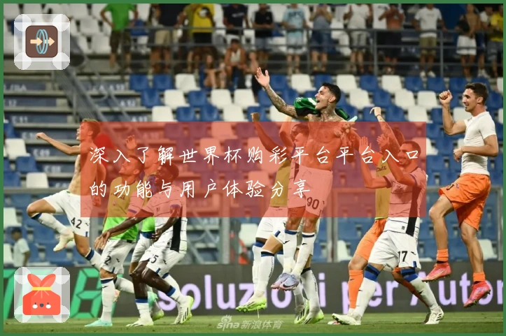 深入了解世界杯购彩平台平台入口的功能与用户体验分享