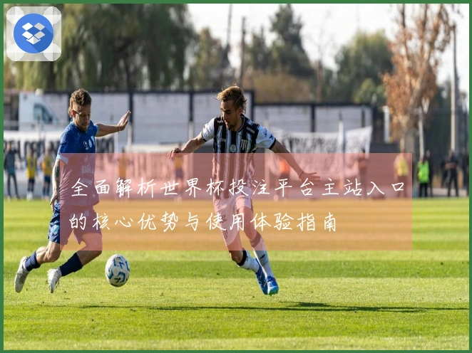 全面解析世界杯投注平台主站入口的核心优势与使用体验指南