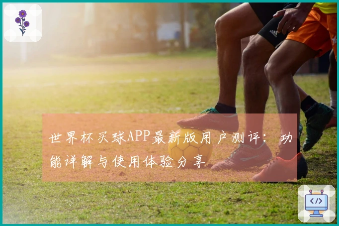 世界杯买球APP最新版用户测评：功能详解与使用体验分享