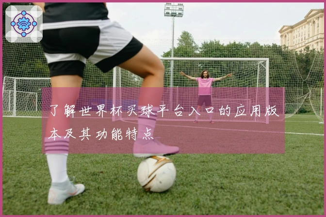 了解世界杯买球平台入口的应用版本及其功能特点