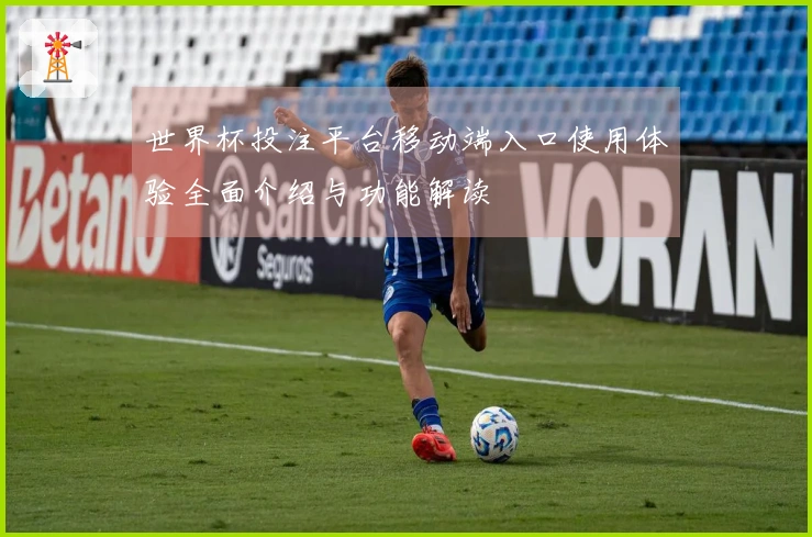 世界杯投注平台移动端入口使用体验全面介绍与功能解读